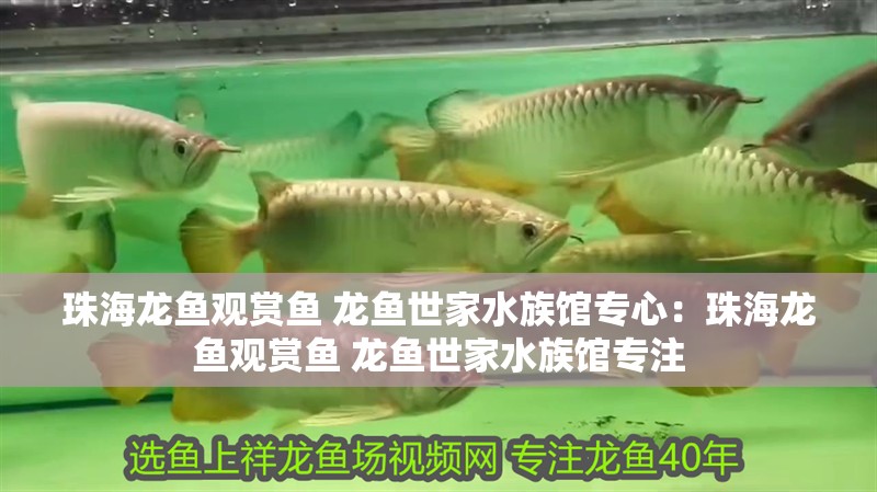 <strong><mark>珠海</mark></strong>龍魚觀賞魚 龍魚世家水族館專心：<strong><mark>珠海</mark></strong>龍魚觀賞魚 龍魚世家水族館專注