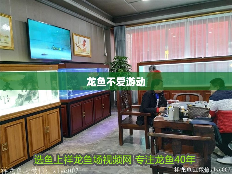 龍魚不愛游動(dòng)