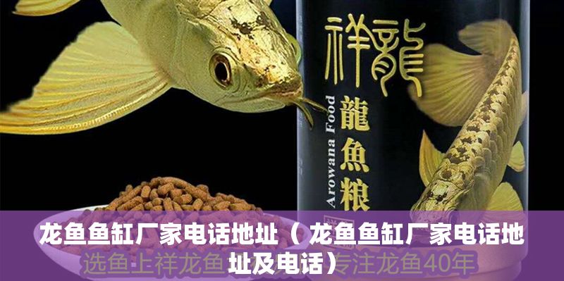 龍魚魚缸廠家電話地址（ 龍魚魚缸廠家電話地址及電話）
