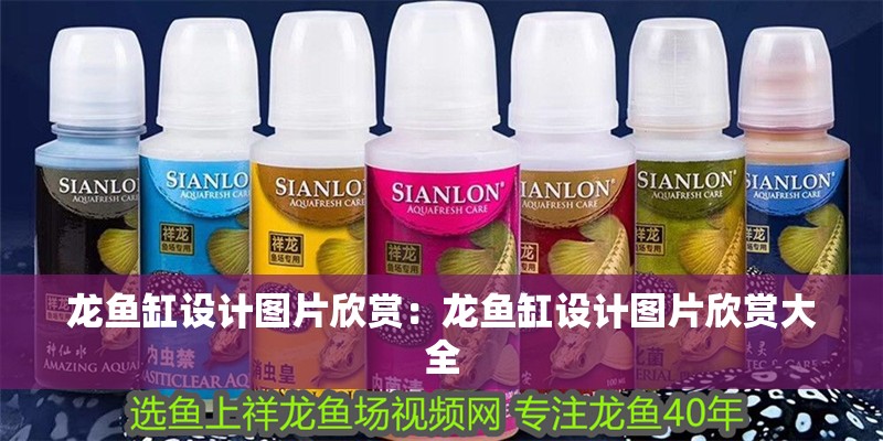 龍魚缸設計圖片欣賞：龍魚缸設計圖片欣賞大全