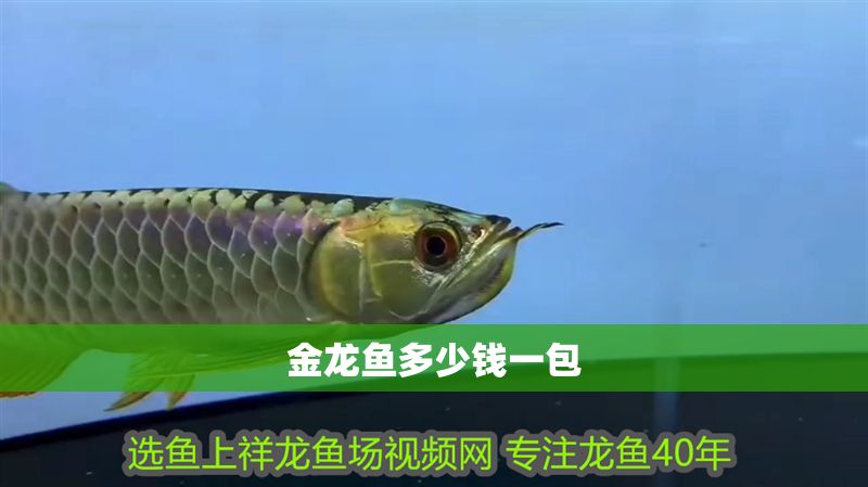 金龍魚多少錢一包
