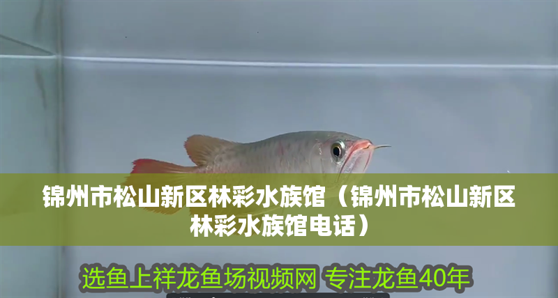 錦州市<strong><mark>松山</mark></strong>新區林彩水族館（錦州市<strong><mark>松山</mark></strong>新區林彩水族館電話）