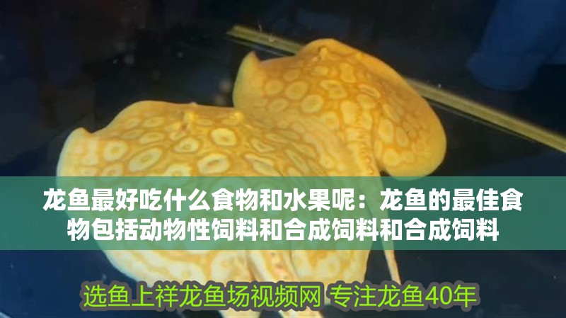 龍魚最好吃什么食物和水果呢：龍魚的最佳食物包括動物性飼料和合成飼料和合成飼料