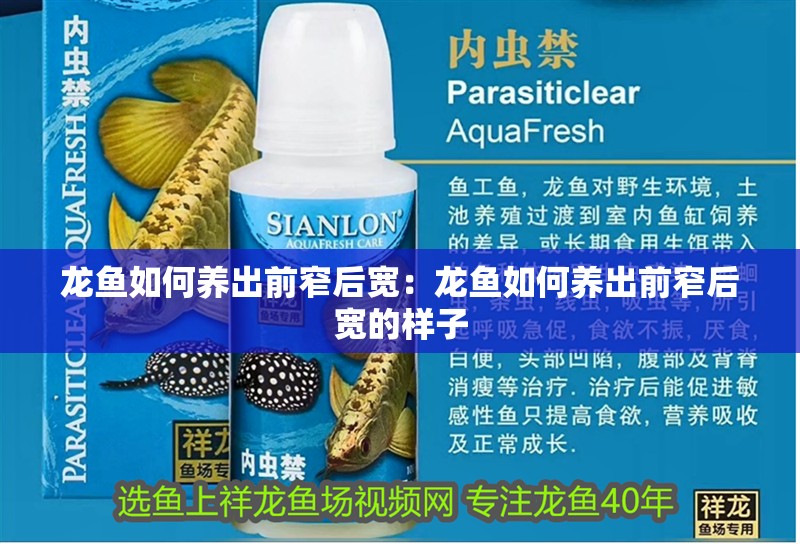 龍魚如何養出前窄后寬：龍魚如何養出前窄后寬的樣子