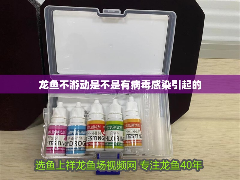 龍魚不游動是不是有病毒感染引起的