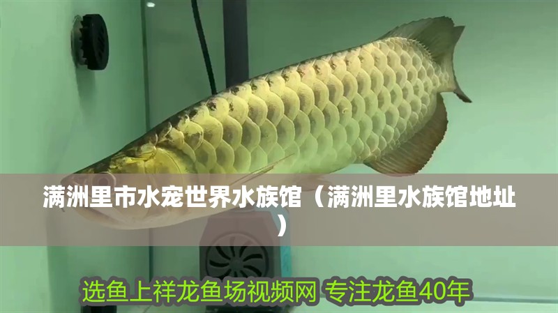 滿洲里市水寵世界水族館（滿洲里水族館地址）