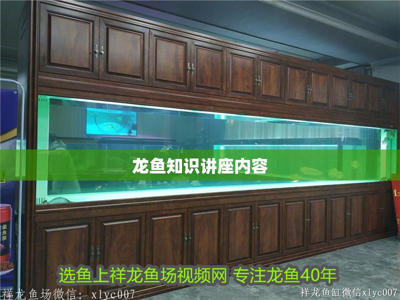 龍魚知識講座內容