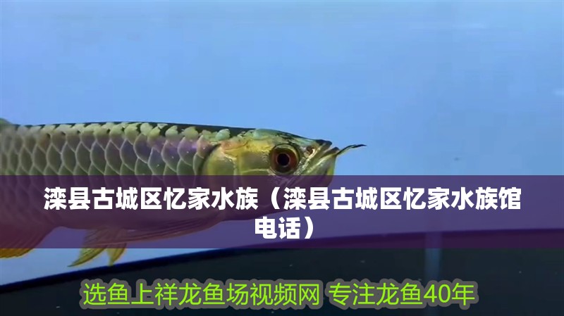 灤縣古城區(qū)憶家水族（灤縣古城區(qū)憶家水族館電話(huà)）