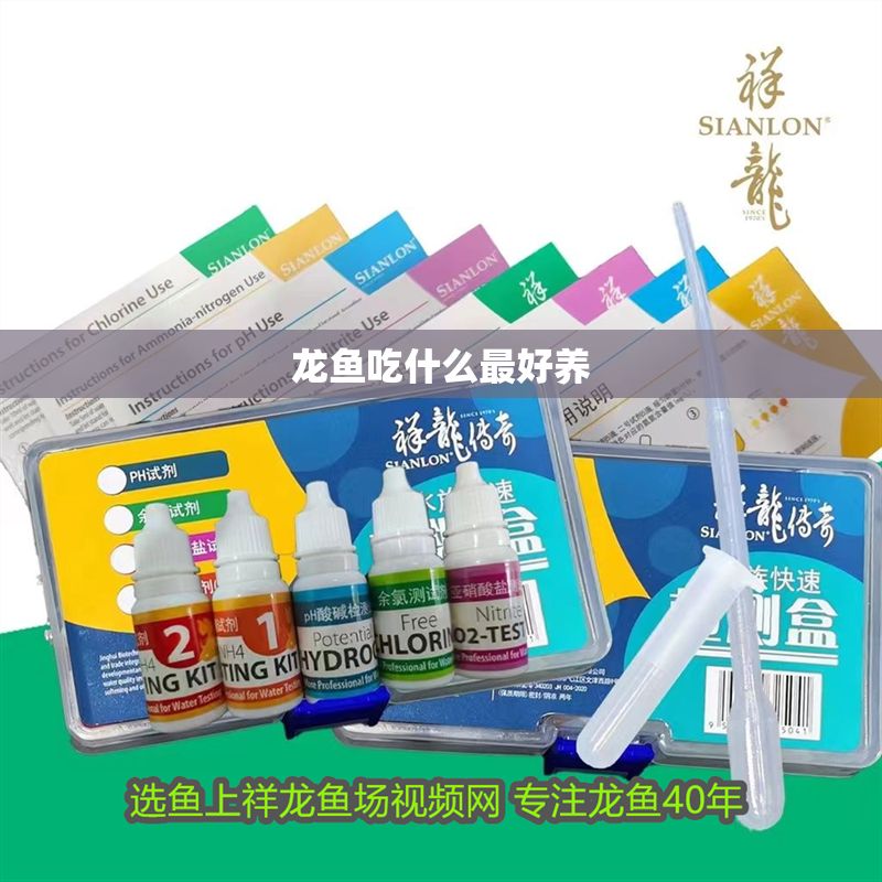 龍魚吃什么最好養(yǎng)