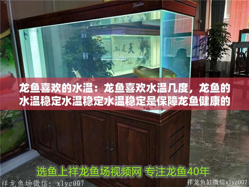 龍魚喜歡的水溫：龍魚喜歡水溫幾度，龍魚的水溫穩定水溫穩定水溫穩定是保障龍魚健康的關鍵因素
