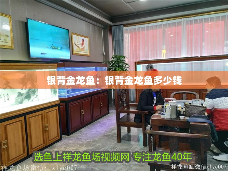 銀背金龍魚：銀背金龍魚多少錢