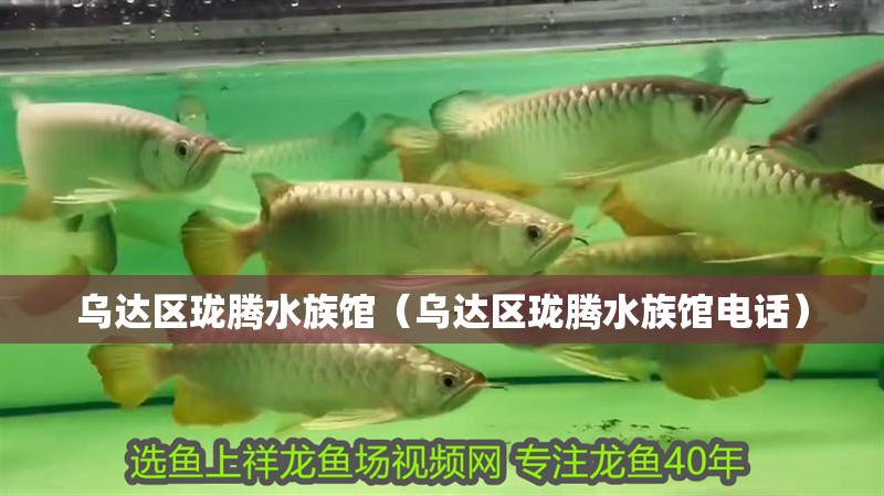 烏達(dá)區(qū)瓏騰水族館（烏達(dá)區(qū)瓏騰水族館電話）