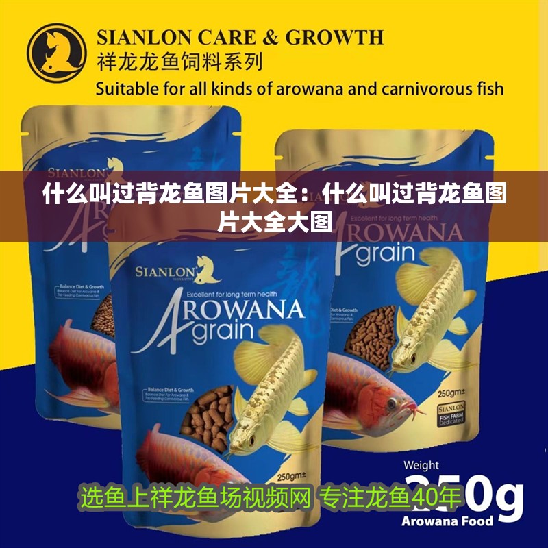 什么叫過背龍魚圖片大全：什么叫過背龍魚圖片大全大圖