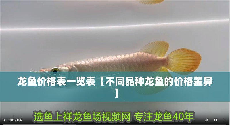 魚缸過濾器選購指南:自制魚缸過濾器魚缸上置過濾器對于養(yǎng)魚愛好者的必備知識 龍魚價格表一覽表【不同品種龍魚的價格差異】 水族問答 龍魚價格表一覽表【不同品種龍魚的價格差異】 龍魚價格表一覽表【不同品種龍魚的價格差異】 水族問答