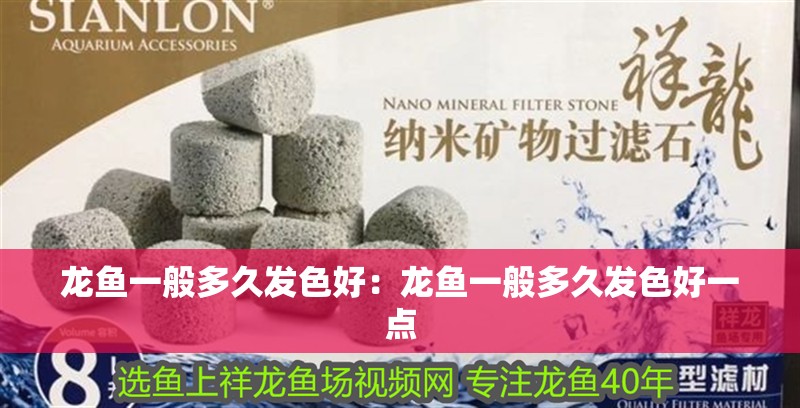 龍魚一般多久發色好：龍魚一般多久發色好一點 龍魚一般多久發色好：龍魚一般多久發色好一點 水族問答