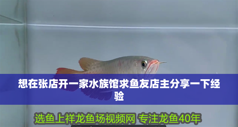 想在張店開(kāi)一家水族館求魚(yú)友店主分享一下經(jīng)驗(yàn)