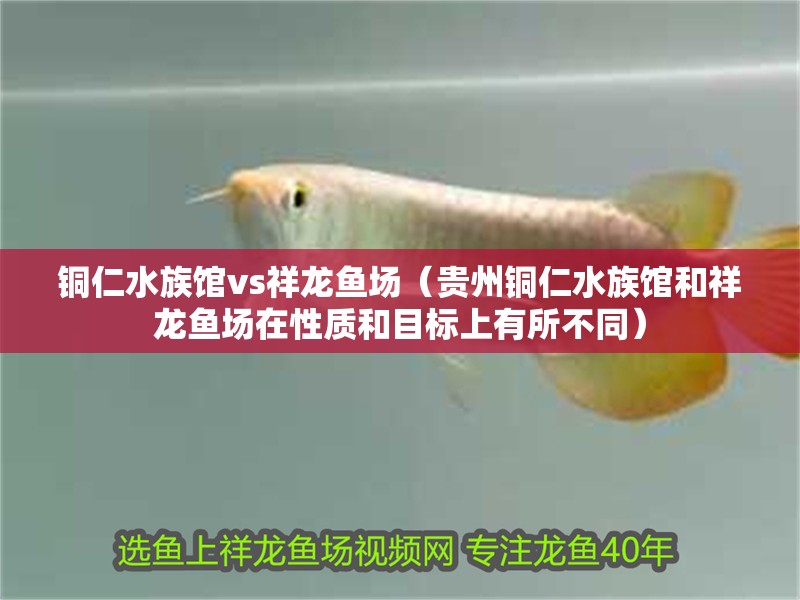 銅仁水族館vs祥龍魚場（貴州銅仁水族館和祥龍魚場在性質(zhì)和目標(biāo)上有所不同）