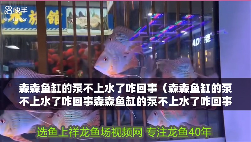 森森魚(yú)缸的泵不上水了咋回事（森森魚(yú)缸的泵不上水了咋回事森森魚(yú)缸的泵不上水了咋回事） 森森魚(yú)缸的泵不上水了咋回事（森森魚(yú)缸的泵不上水了咋回事森森魚(yú)缸的泵不上水了咋回事） 魚(yú)缸百科