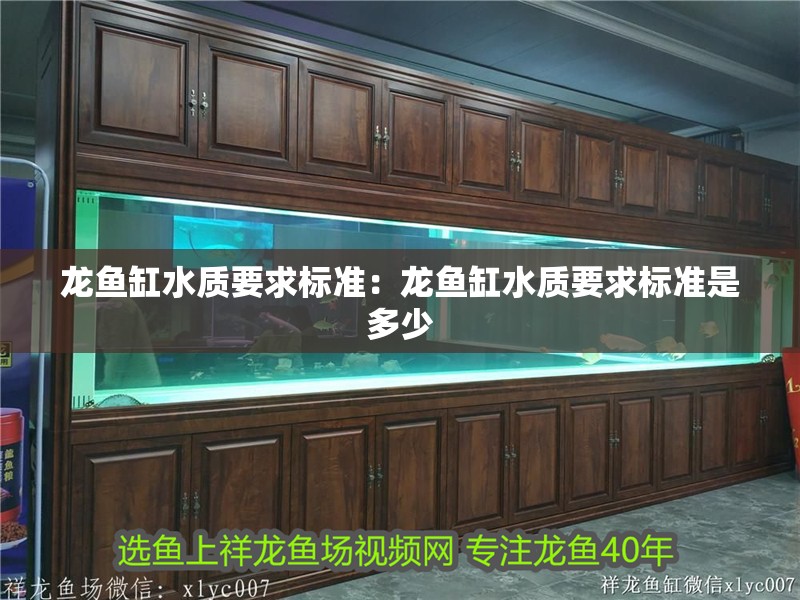 龍魚缸水質(zhì)要求標(biāo)準(zhǔn)：龍魚缸水質(zhì)要求標(biāo)準(zhǔn)是多少
