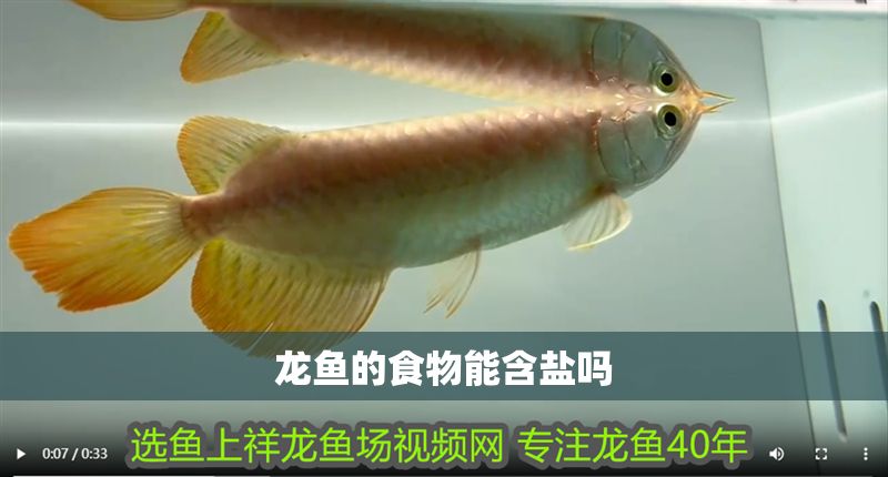 龍魚的食物能含鹽嗎