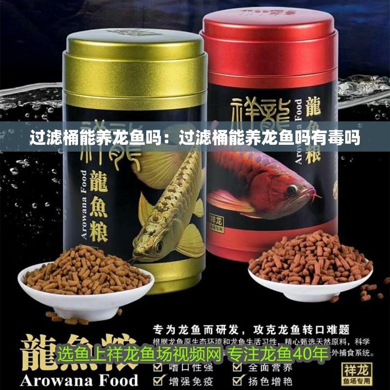 過濾桶能養龍魚嗎：過濾桶能養龍魚嗎有毒嗎