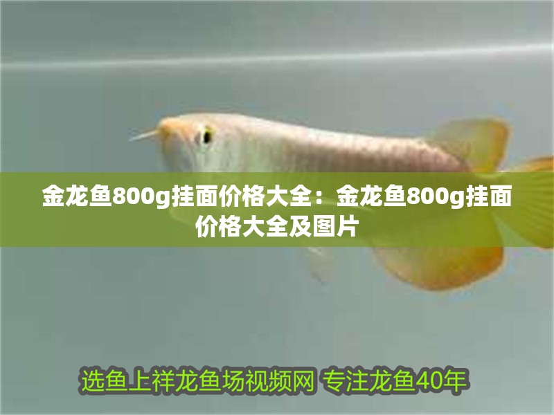 金龍魚800g掛面價格大全：金龍魚800g掛面價格大全及圖片