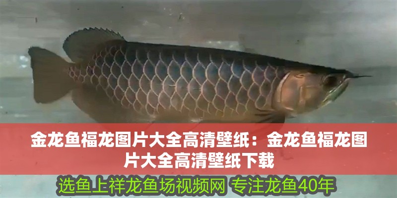 博特水泵控制器怎么用視頻教學講解(博特水泵控制器怎么用視頻教學講解圖)