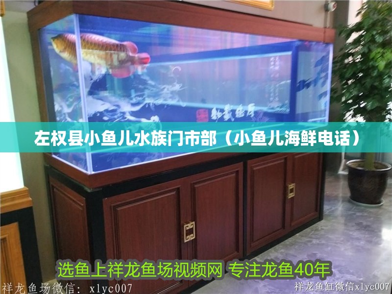 左權縣小魚兒水族門市部（小魚兒海鮮電話）