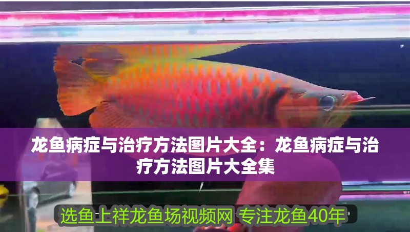 龍魚病癥與治療方法圖片大全：龍魚病癥與治療方法圖片大全集