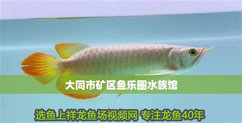 大同市礦區(qū)魚樂圈水族館