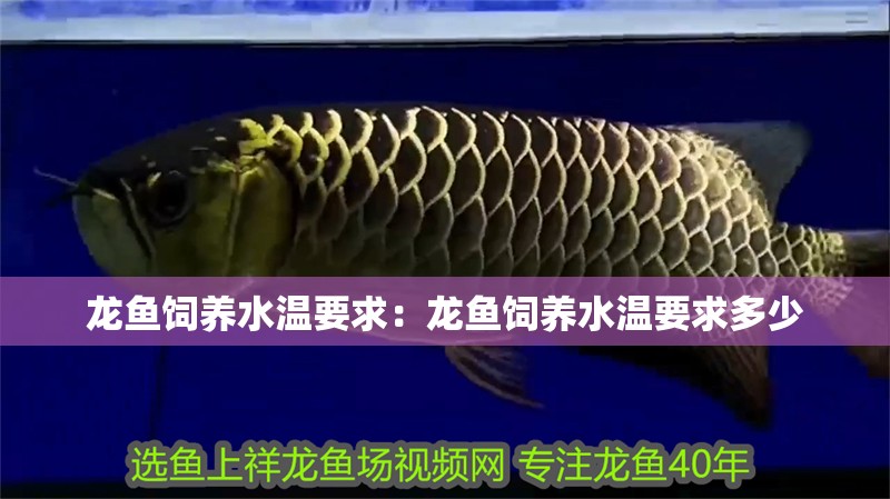 龍魚飼養水溫要求：龍魚飼養水溫要求多少