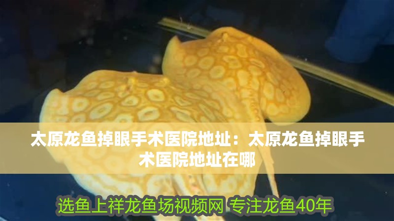 太原龍魚掉眼手術醫院地址：太原龍魚掉眼手術醫院地址在哪 太原龍魚掉眼手術醫院地址：太原龍魚掉眼手術醫院地址在哪 水族問答