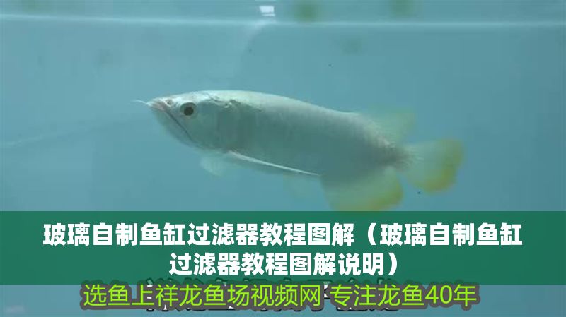 玻璃自制魚缸過濾器教程圖解（玻璃自制魚缸過濾器教程圖解說明）