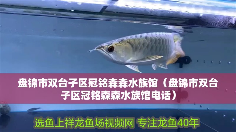 盤錦市雙臺子區冠銘森森水族館（盤錦市雙臺子區冠銘森森水族館電話） 盤錦市雙臺子區冠銘森森水族館（盤錦市雙臺子區冠銘森森水族館電話） 全國水族館企業名錄 第1張