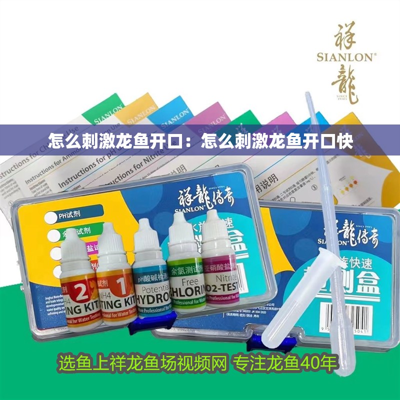 怎么刺激龍魚開口：怎么刺激龍魚開口快