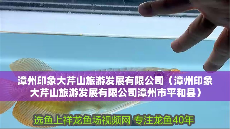 漳州印象大芹山旅游發展有限公司（漳州印象大芹山旅游發展有限公司漳州市平和縣）