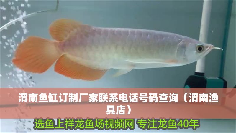 渭南魚缸訂制廠家聯系電話號碼查詢（渭南漁具店）