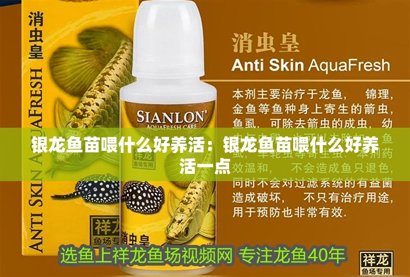 銀龍魚苗喂什么好養活：銀龍魚苗喂什么好養活一點