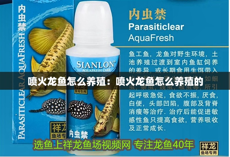 噴火龍魚怎么養殖：噴火龍魚怎么養殖的