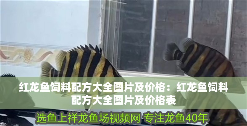 紅龍魚飼料配方大全圖片及價格：紅龍魚飼料配方大全圖片及價格表