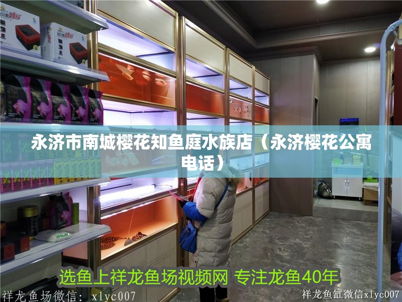 永濟(jì)市南城櫻花知魚(yú)庭水族店（永濟(jì)櫻花公寓電話(huà)）