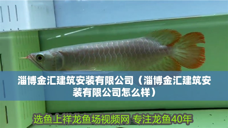 淄博金匯建筑安裝有限公司（淄博金匯建筑安裝有限公司怎么樣） 淄博金匯建筑安裝有限公司（淄博金匯建筑安裝有限公司怎么樣） 全國水族館企業名錄