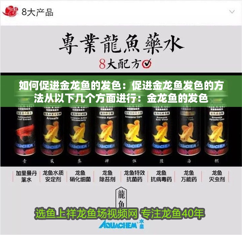如何促進金龍魚的發色：促進金龍魚發色的方法從以下幾個方面進行：金龍魚的發色