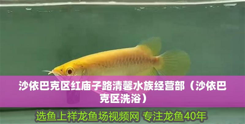 沙依巴克區紅廟子路清馨水族經營部(沙依巴克區洗浴) 全國水族館企業名錄 第1張 沙依巴克區紅廟子路清馨水族經營部(沙依巴克區洗浴) 沙依巴克區紅廟子路清馨水族經營部(沙依巴克區洗浴) 全國水族館企業名錄 第1張