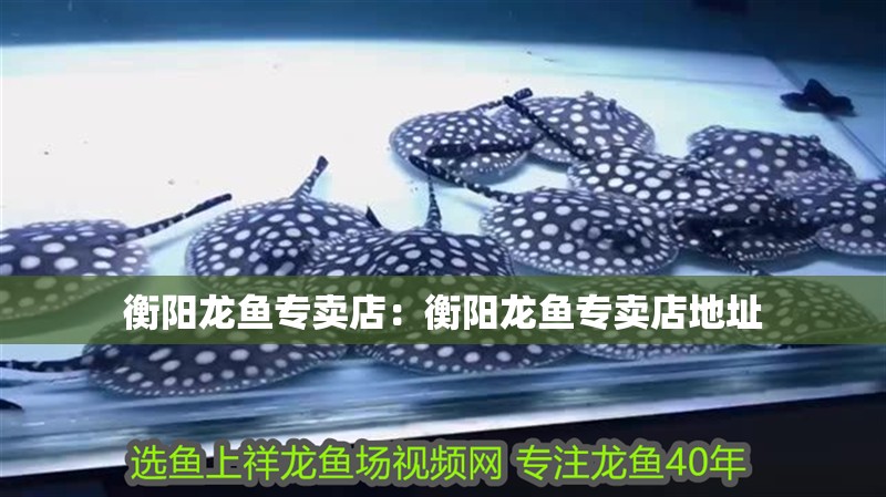 衡陽龍魚專賣店：衡陽龍魚專賣店地址