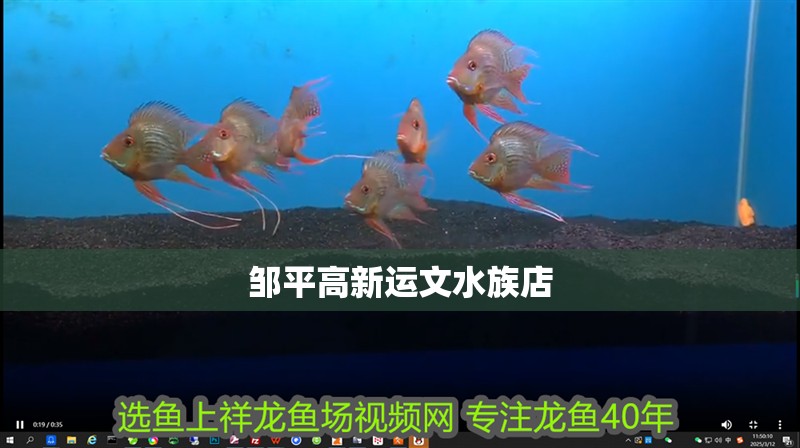 鄒平高新運(yùn)文水族店
