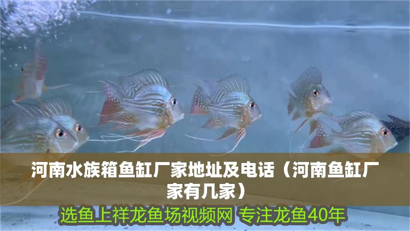 河南水族箱魚缸廠家地址及電話（河南魚缸廠家有幾家）