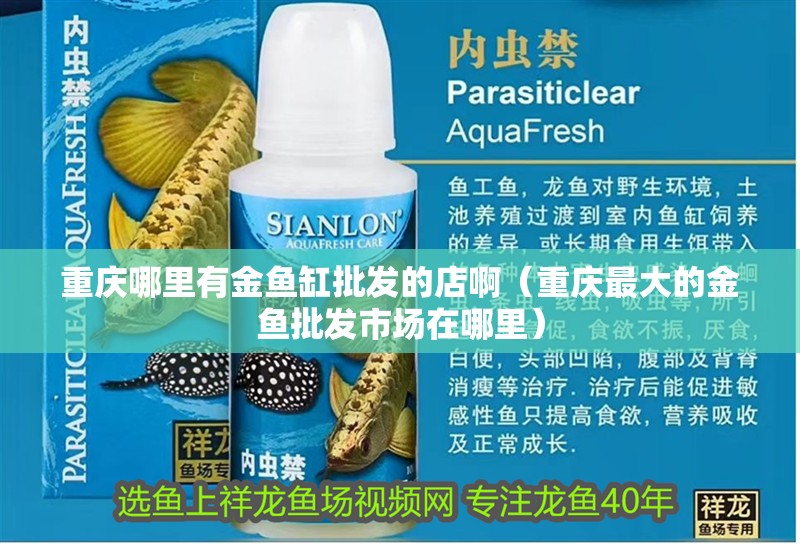 重慶哪里有金魚缸批發的店啊（重慶最大的金魚批發市場在哪里）