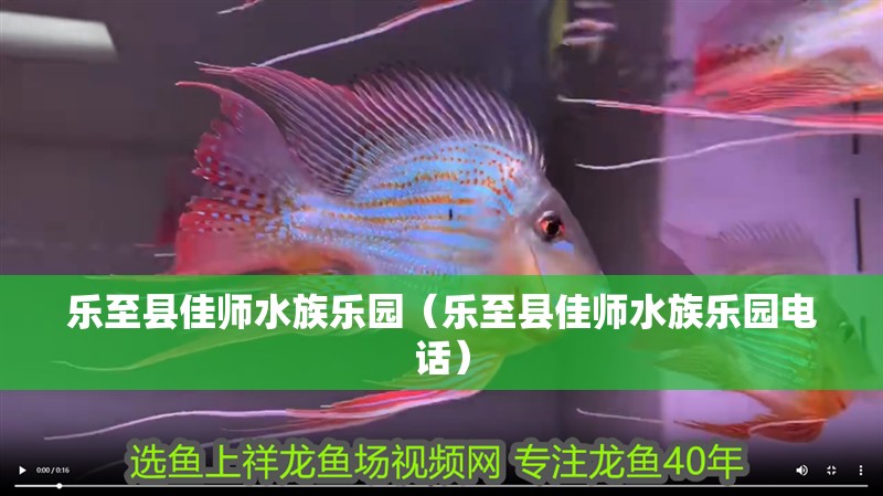 樂至縣佳師水族樂園（樂至縣佳師水族樂園電話） 樂至縣佳師水族樂園（樂至縣佳師水族樂園電話） 全國水族館企業名錄 第2張