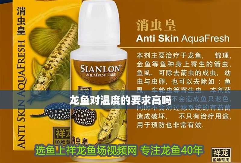 龍魚對(duì)溫度的要求高嗎 龍魚百科 第2張 龍魚對(duì)溫度的要求高嗎 龍魚對(duì)溫度的要求高嗎 龍魚百科 第2張